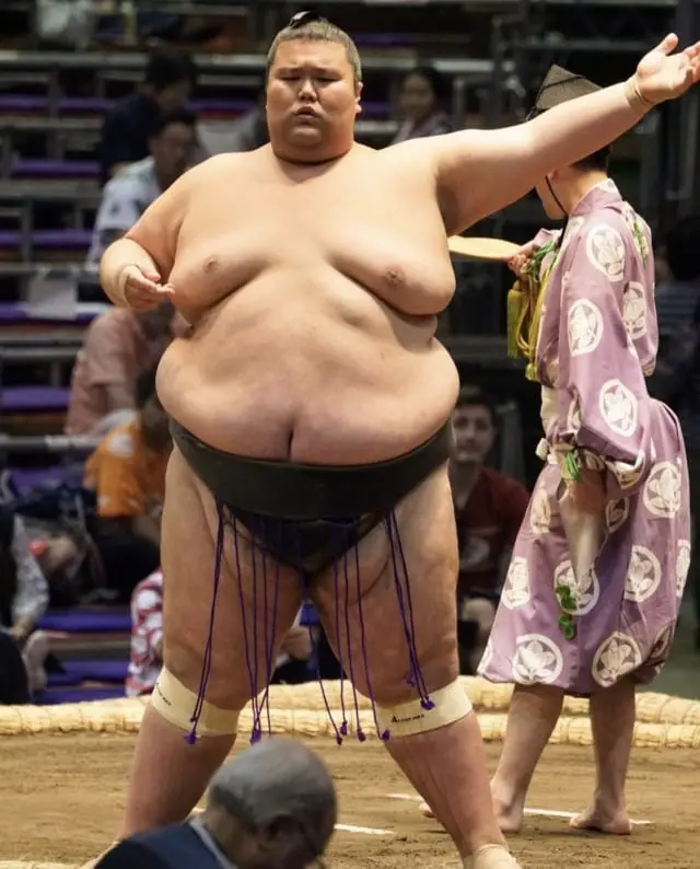how tall are sumo wrestlers