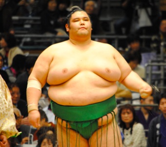 sumo wrestler height