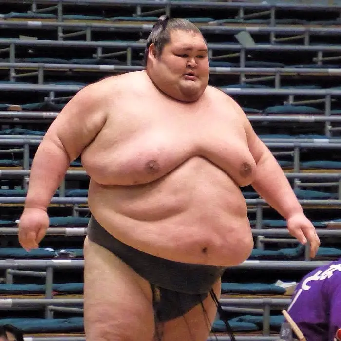 tallest sumo wrestler