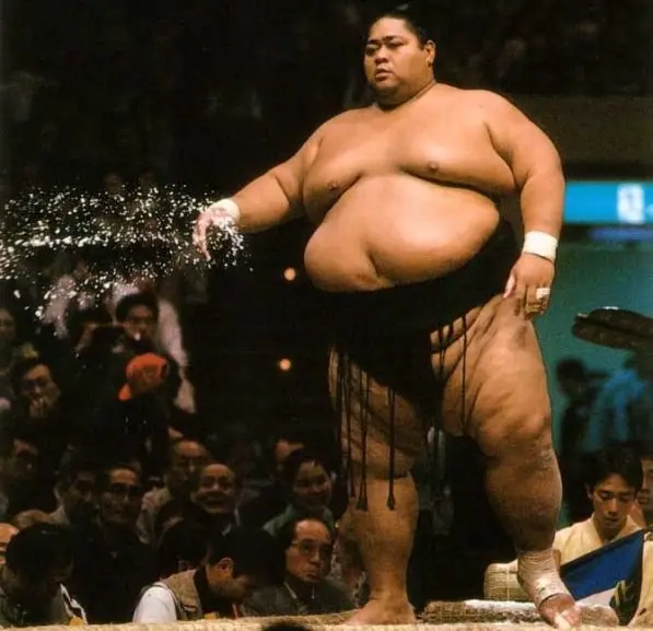 biggest sumo wrestler
