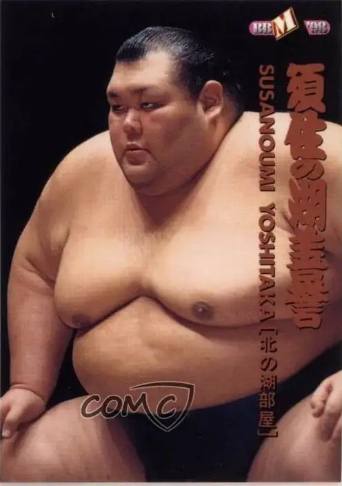 largest sumo wrestler