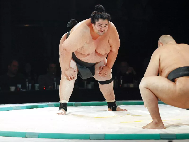 fattest sumo wrestler