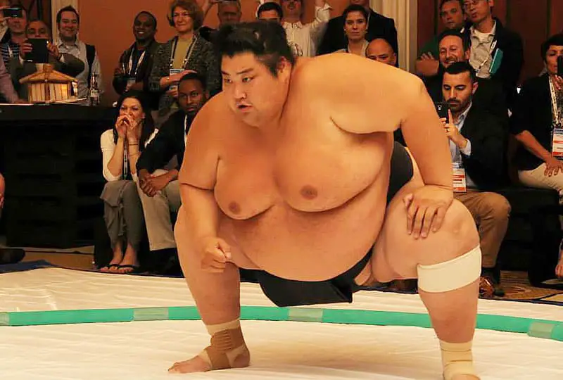 sumo wrestler weight