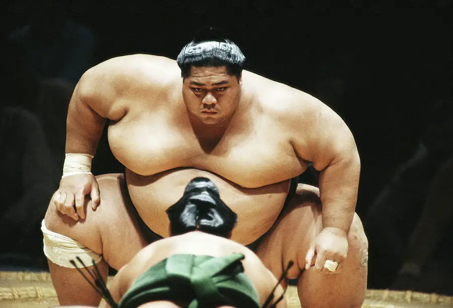 heaviest sumo wrestler