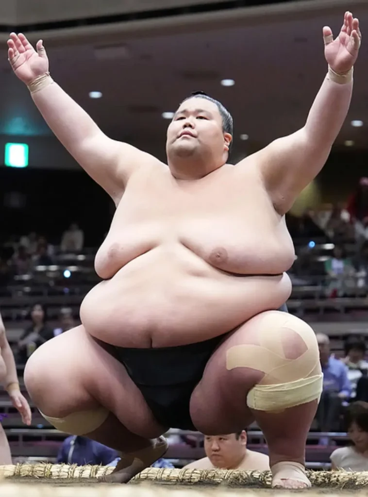 how tall are sumo wrestlers